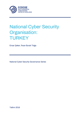 National Cyber Security Organisation: TURKEY