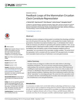 Feedback Loops of the Mammalian Circadian Clock Constitute Repressilator