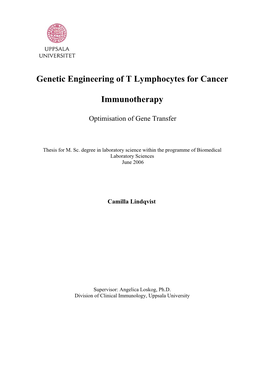 Optimization of the Genetic Engineering of T Cells for Cancer