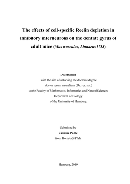 The Effects of Cell-Specific Reelin Depletion in Inhibitory Interneurons on the Dentate Gyrus of Adult Mice (Mus Musculus, Linnaeus 1758)