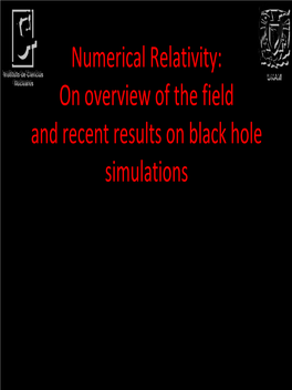 Numerical Relativity: Instituto De Ciencias Instituto De Ciencias UNAMUNAM Nuclearesnucleares on Overview of the Field and Recent Results on Black Hole Simulations