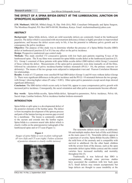 The Effect of a Spina Bifida-Defect at the Lumbosacral Junction on Spinopelvic Alignments