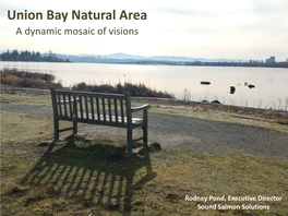 Union Bay Natural Area a Dynamic Mosaic of Visions