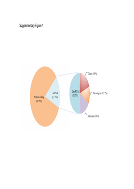 Supplementary Figure 1