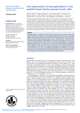 First Observations of Hermaphroditism in the Patellid Limpet Patella