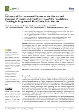 Influence of Environmental Factors on the Genetic and Chemical Diversity of Brickellia Veronicifolia Populations Growing in Frag