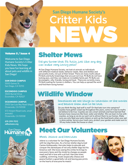 Critter Kids NEWS