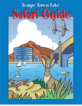 Tempe Town Lake Safari Guide