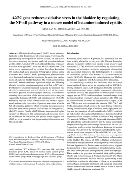 Aldh2 Gene Reduces Oxidative Stress in the Bladder by Regulating the NF‑Κb Pathway in a Mouse Model of Ketamine‑Induced Cystitis