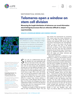 Telomeres Open a Window on Stem Cell Division