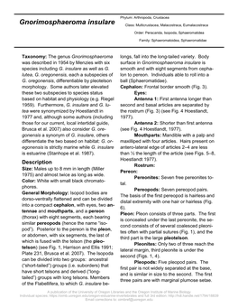 Gnorimosphaeroma Insulare Class: Multicrustacea, Malacostraca, Eumalacostraca