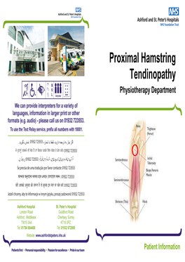 Proximal Hamstring Tendinopathy Sep 2018