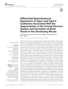 Differential Spatiotemporal Expression of Type I and Type II Cadherins