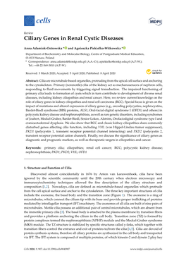 Ciliary Genes in Renal Cystic Diseases