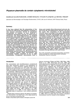 Physarum Plasmodia Do Contain Cytoplasmic Microtubules!