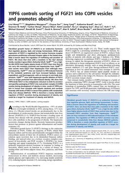 YIPF6 Controls Sorting of FGF21 Into COPII Vesicles and Promotes Obesity