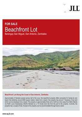 FOR SALE Beachfront Lot Barangay San Miguel, San Antonio, Zambales