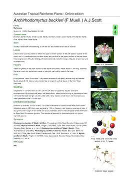 Archirhodomyrtus Beckleri (F.Muell.) A.J.Scott Family: Myrtaceae Scott, A.J