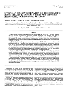 Effects of Sensory Deprivation on the Developing Mouse Olfactory System: a Light and Electron Microscopic, Morphometric Analysis’