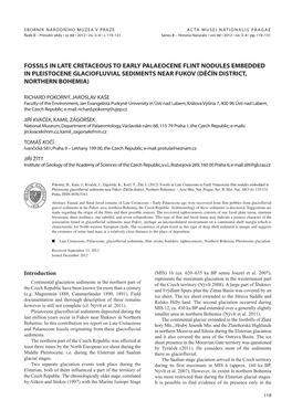 Fossils in Late Cretaceous to Early Palaeocene Flint Nodules Embedded in Pleistocene Glaciofluvial Sediments Near Fukov (Děčín District, Northern Bohemia)
