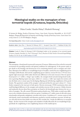 Histological Studies on the Marsupium of Two Terrestrial Isopods