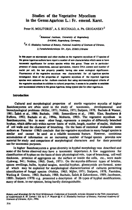 Studies of the Vegetative Mycelium in the Genus Agaricus L.: Fr