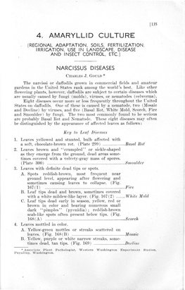 Narcissus Diseases