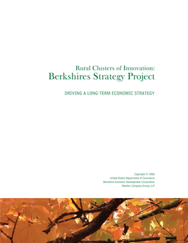 Berkshires Strategy Project