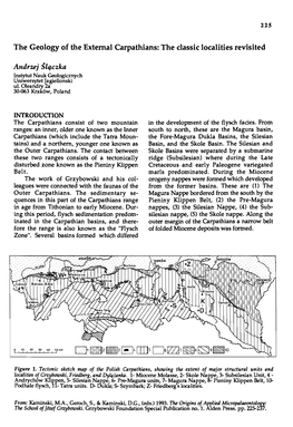 The Geology of the External Carpathians: the Classic Localities Revisited