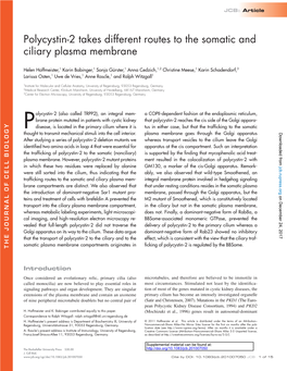 Polycystin-2 Takes Different Routes to the Somatic and Ciliary Plasma Membrane