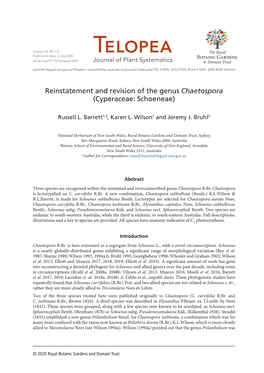Reinstatement and Revision of the Genus Chaetospora (Cyperaceae: Schoeneae)