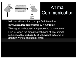 Animal Communication