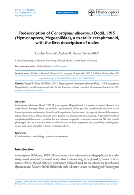 ﻿Redescription of Conostigmus Albovarius Dodd, 1915 (Hymenoptera, Megaspilidae), a Metallic Ceraphronoid, with the First Descr