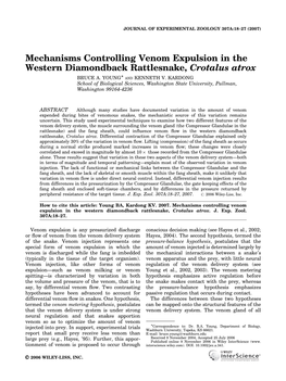 Mechanisms Controlling Venom Expulsion in the Western Diamondback Rattlesnake, Crotalus Atrox Ã BRUCE A