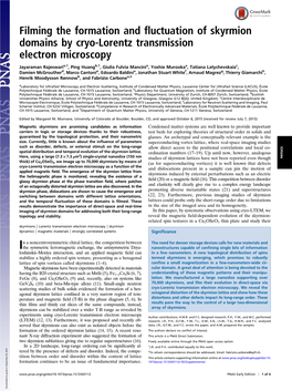 Filming the Formation and Fluctuation of Skyrmion Domains by Cryo-Lorentz Transmission Electron Microscopy