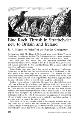 Blue Rock Thrush in Strathclyde: New to Britain and Ireland R