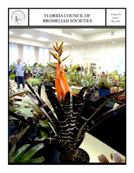 Tips for Preparing Bromeliads for Shows—Mounted Plants