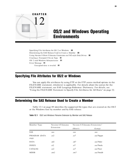 OS/2 and Windows Operating Environments