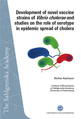Vibrio Cholerae and Studies on the Role of Serotype in Epidemic Spread of Cholera