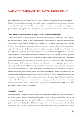 Sotto Il Pizzo Ruscada, Giù Fino a Alle Gole Dell'isorno, E Delimitata Dal Confine Di Stato, Si Estende La Grande Foresta