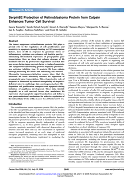 Serpinb2 Protection of Retinoblastoma Protein from Calpain Enhances Tumor Cell Survival