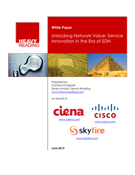 White Paper: Unlocking Network Value: Service Innovation in the Era