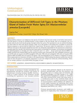 Characterization of Different Cell Types in the Pituitary Gland of Indian Fresh Water Spiny Eel Mastacembelus Armatus (Lacepede)