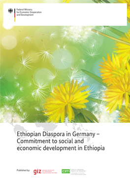 Ethiopian Diaspora in Germany – Commitment to Social and Economic Development in Ethiopia