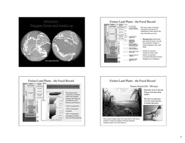 Mesozoic - Extinct Land Plants - the Fossil Record