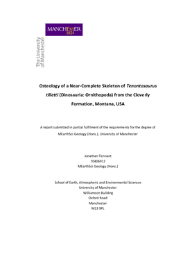 Osteology of a Near-Complete Skeleton of Tenontosaurus Tilletti (Dinosauria: Ornithopoda) from the Cloverly Formation, Montana, USA