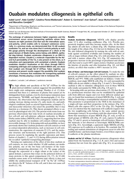 Ouabain Modulates Ciliogenesis in Epithelial Cells