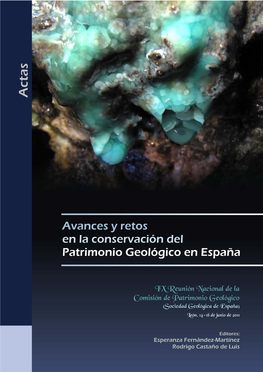 Actas De La IX Reunión Nacional De La Comisión De Patrimonio Geológico (Sociedad Geológica De España)