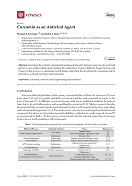 Curcumin As an Antiviral Agent