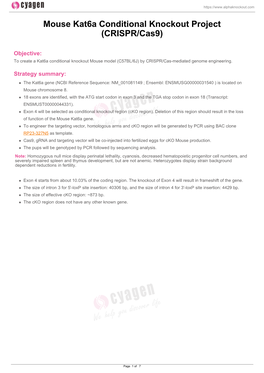 Mouse Kat6a Conditional Knockout Project (CRISPR/Cas9)